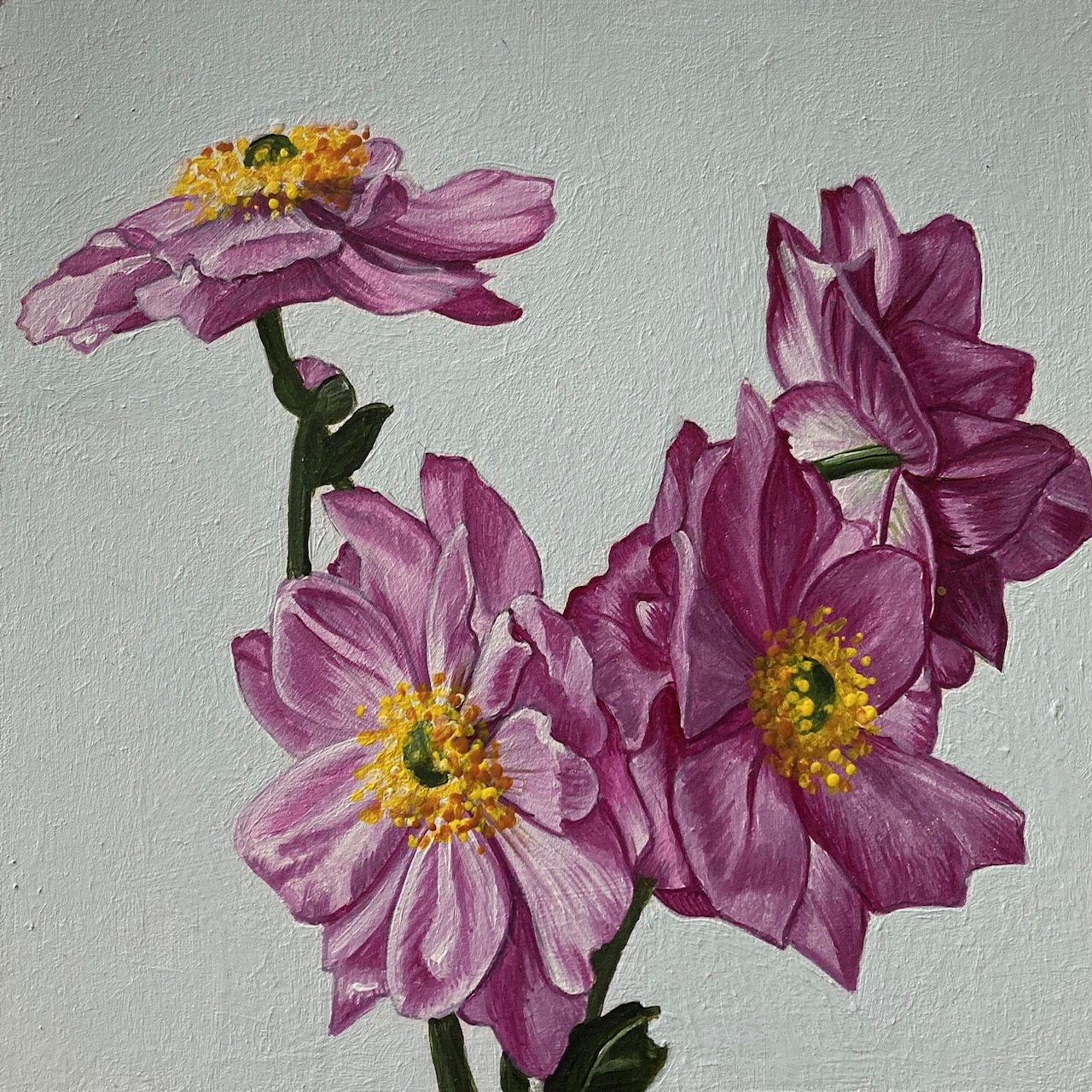 Rebecca Jewell - Soft Pink Anemone