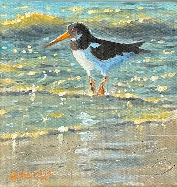 Steve Sherris - Oystercatcher