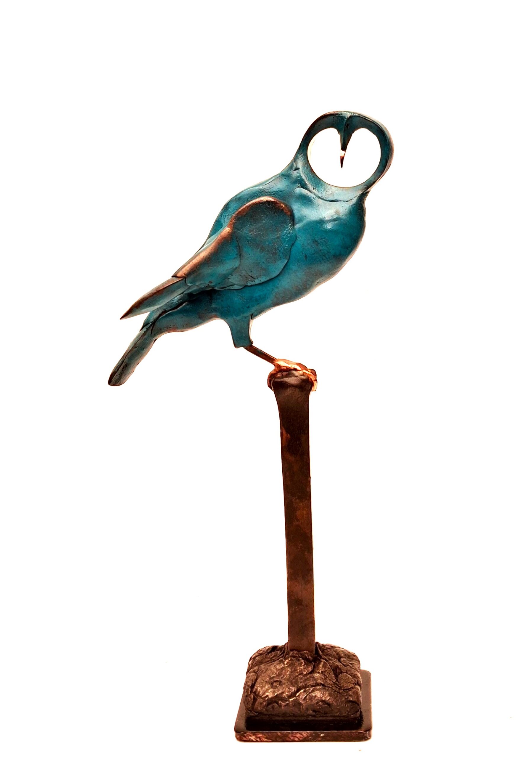 Robin Fox - Illuminated Little Owl (RF388)
