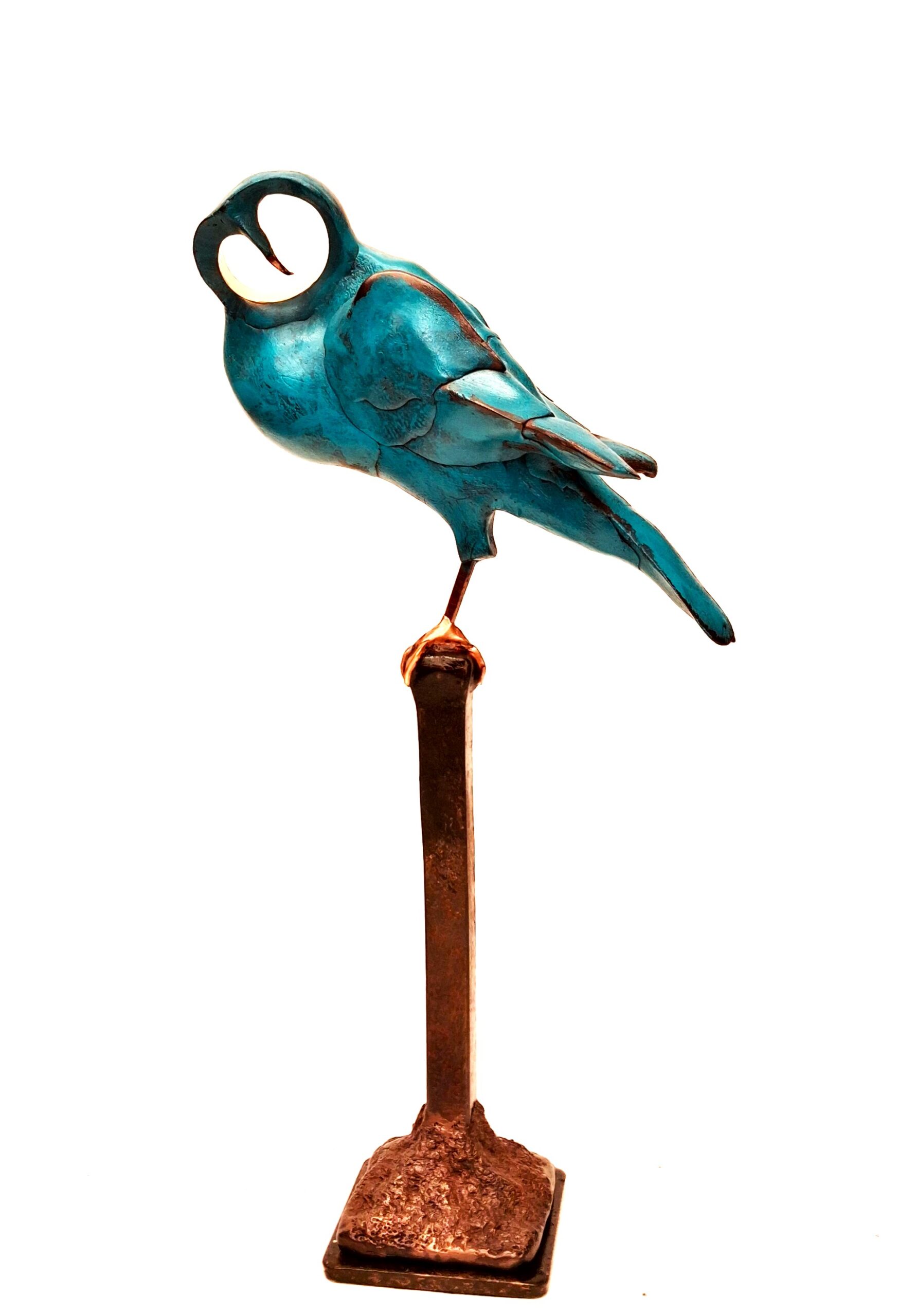 Robin Fox - Illuminated Little Owl (RF389)