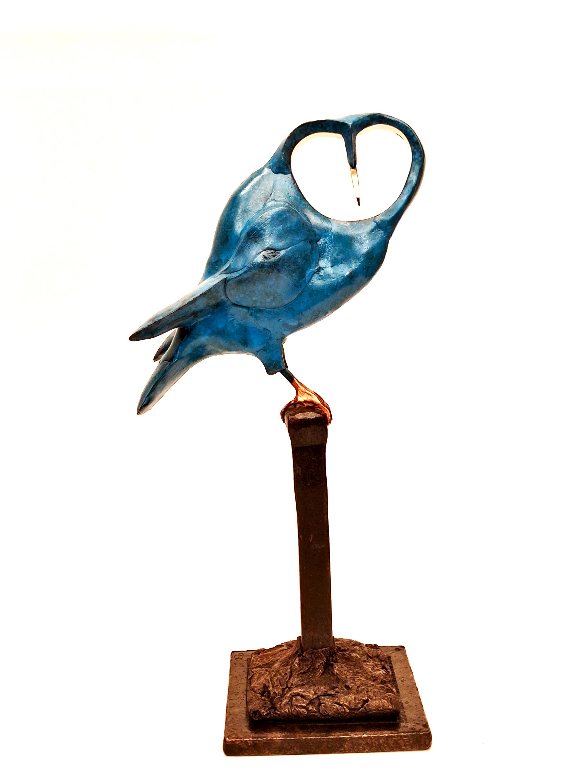 Robin Fox - Illuminated Barn Owl (RF390)