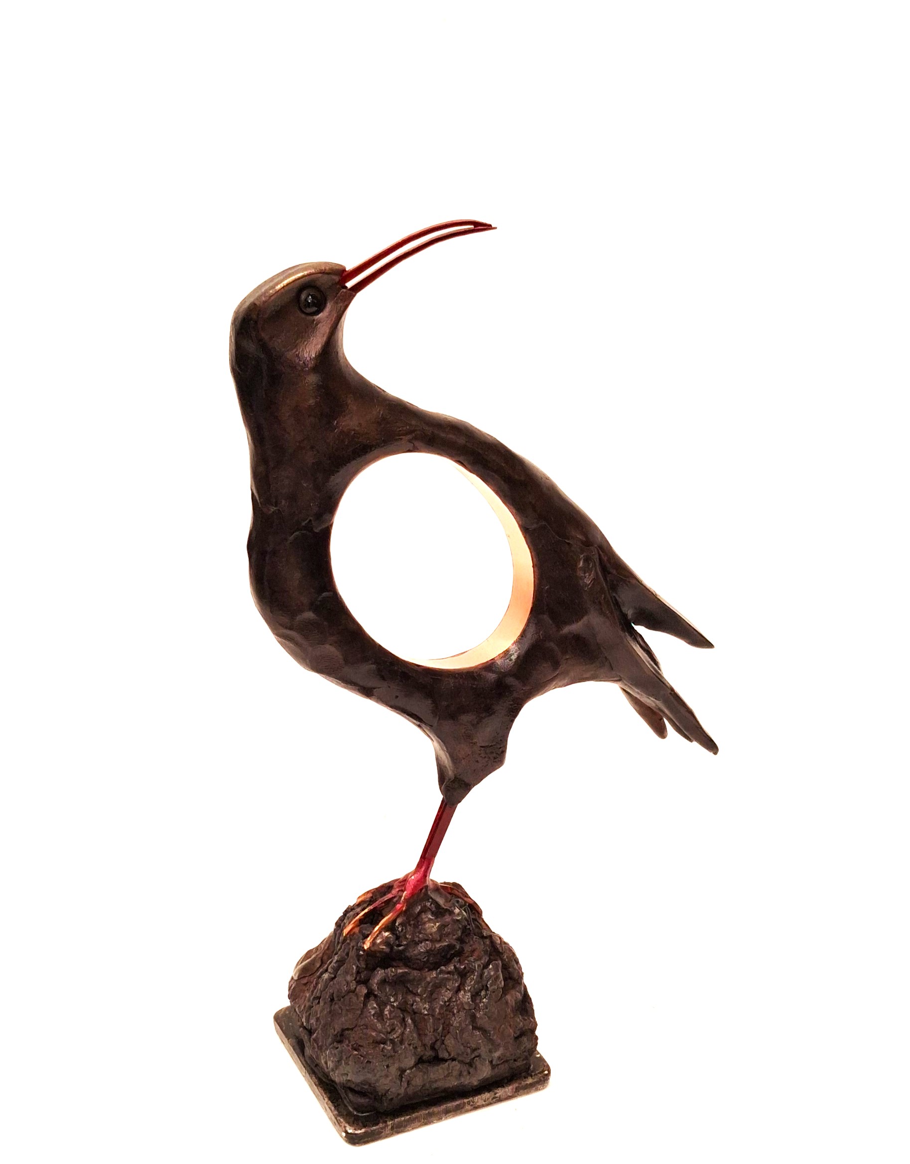 Robin Fox - Cornish Chough (RF413)